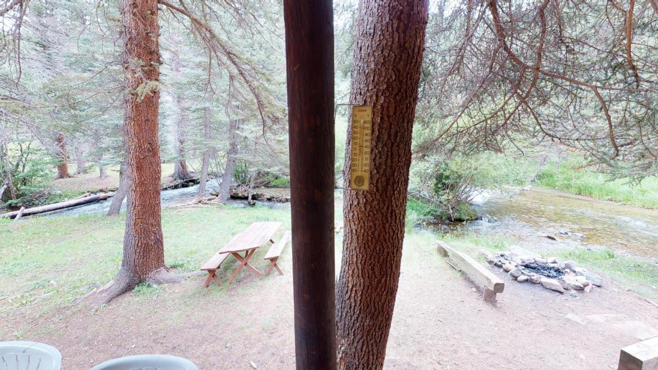 רד ריבר Bear Bait Cabin In Upper Valley With High Speed Wifi מראה חיצוני תמונה