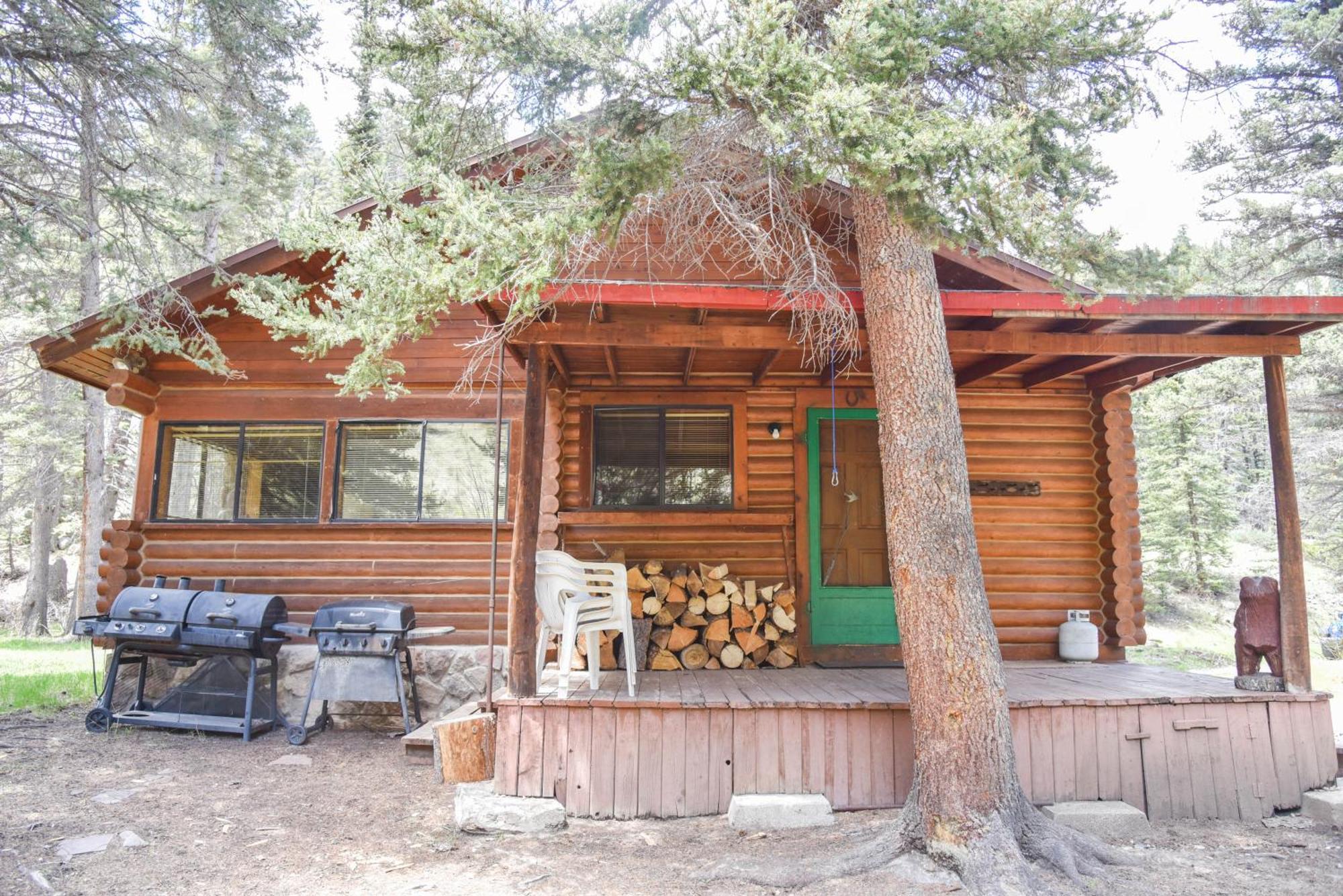 רד ריבר Bear Bait Cabin In Upper Valley With High Speed Wifi מראה חיצוני תמונה