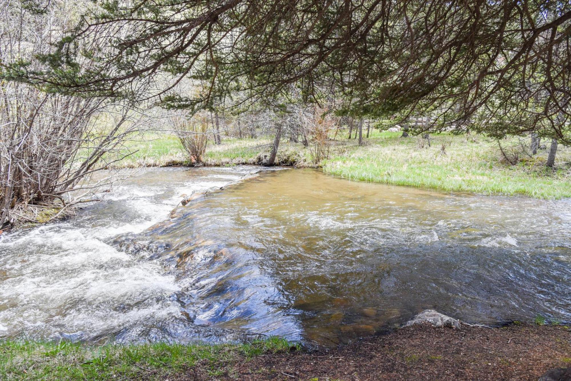 רד ריבר Bear Bait Cabin In Upper Valley With High Speed Wifi מראה חיצוני תמונה