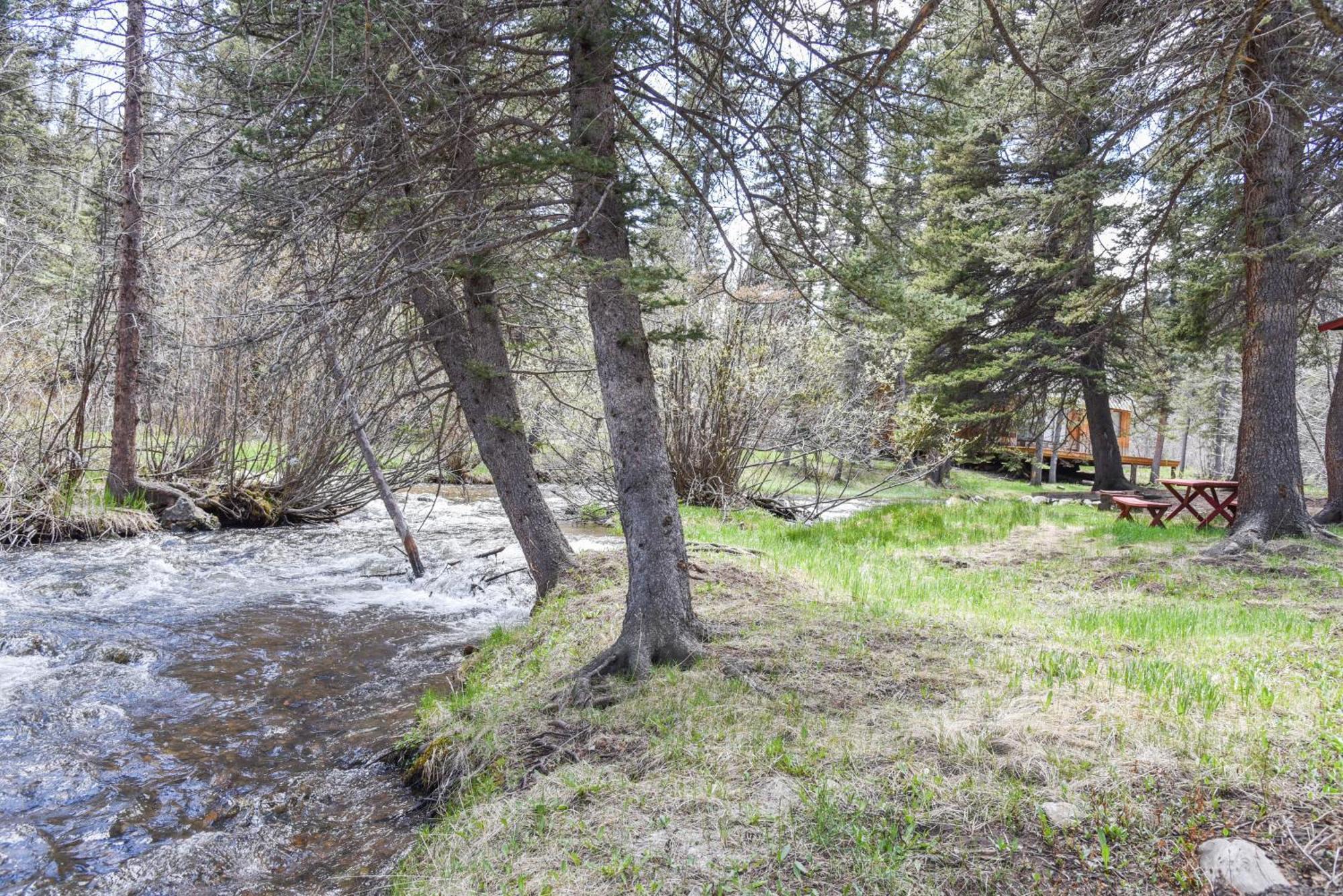 רד ריבר Bear Bait Cabin In Upper Valley With High Speed Wifi מראה חיצוני תמונה