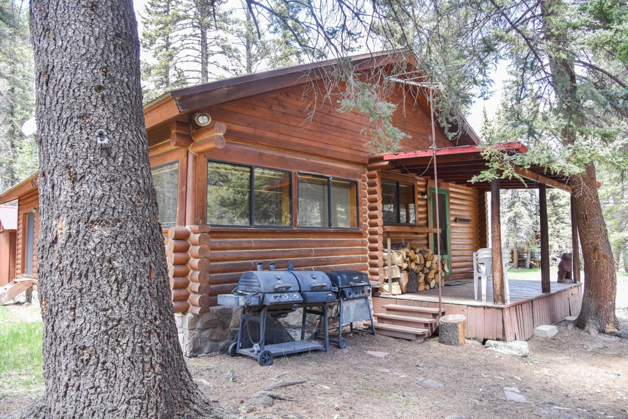 רד ריבר Bear Bait Cabin In Upper Valley With High Speed Wifi מראה חיצוני תמונה